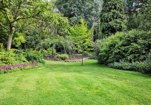 Optimiser l'expérience du jardin à Azolette