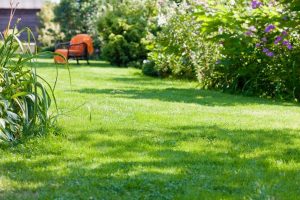 travaux jardin et paysage Azolette